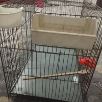 قفس پرنده|لوازم جانبی حیوانات|بهارستان, |دیوار