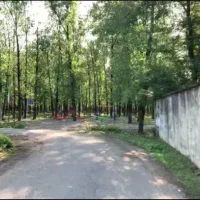 فروش ۸۰۰ متر زمین با مجوز ساخت و سوییت ۴۰ متری|فروش زمین و ملک کلنگی|سیاهکل, |دیوار