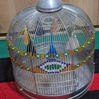 قفس|لوازم جانبی حیوانات|ملارد, |دیوار