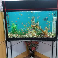 اکواریوم با تمام وسایل