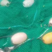 بندرلنگه بندرکنگ تور محاصره ای چشم ریز