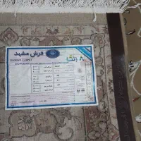فرش ۹ متری مشهد ۵۰۰ شانه افشان پرگوشت