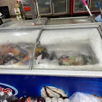 یخچال فریزر صنعتی|فروشگاه و مغازه|فریدون‌کنار, |دیوار