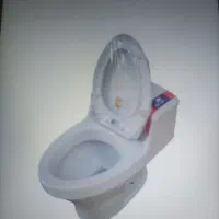 توالت فرنگی