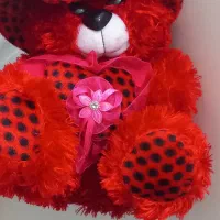 عروسک خرس مهربان