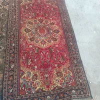 فرش دستباف|فرش|تربت‌حیدریه, چهارراه خواف|دیوار