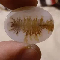 شجر|جواهرات|شاهین‌شهر, خانه کارگر|دیوار