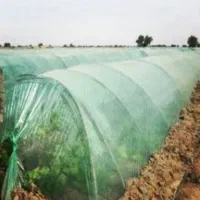 پلاستیک پنج متری کمتر ۵ ماه استفاده درجه یک یزدی