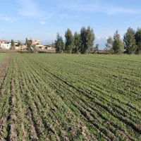 فروش-زمین-مسکونی-4000-متر