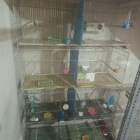 قفس جوجه پران