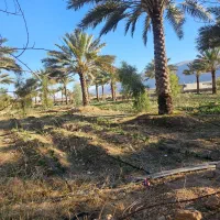 نیازمند نیرو خانم جهت امور منزل