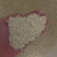 برنج طارم درجه یک