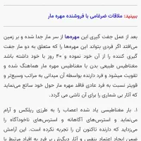 فروش یک جفت  مهره  جذب|بدلیجات|مرودشت, شهرک مهدیه|دیوار