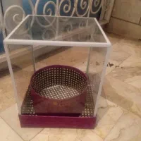 تعدادی باکس گل نو وسالم|گل و گیاه طبیعی|تهران, هروی|دیوار