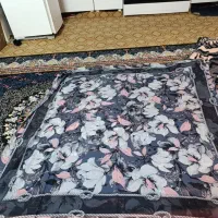 روسری|لباس|قزوین, |دیوار