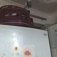 کبوتر|پرنده|یزد, |دیوار