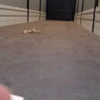 کانتین چادری صفر ۱۴۰۴|خودرو سنگین|ارومیه, |دیوار