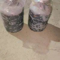 خرمای له شده.