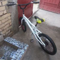 دوچرخه حرفه ای