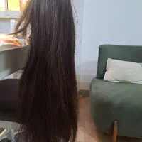 کلاه گیس درحدنو