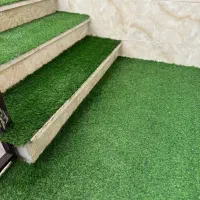 اجاره سانس باشگاه ورزشی،تاتمی