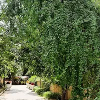 فروش-باغ