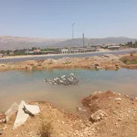 سلام فروش غاز