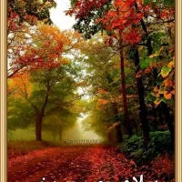 دریافت جایزه با این کد.milli-utspq