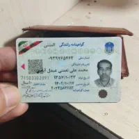 پیدا شده