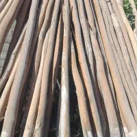 خریدفروش انوع چوب گردو،چنار،میوه،تیرچوب