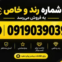 09190390391