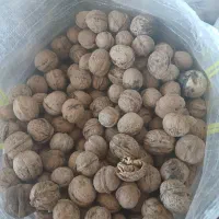 فروش گردو عمده و خرده|خوردنی و آشامیدنی|نهاوند, |دیوار