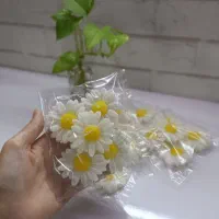 شمع|صنایع دستی و سایر لوازم تزئینی|قزوین, |دیوار