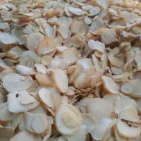 موسیر خشک بار امسال  تازه  کوهی