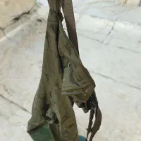 چکمه ضد اب