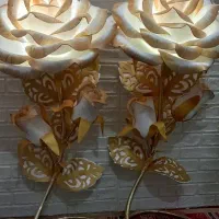 گل سالنی