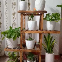 استند گل سالم تمیز|کتابخانه، شلف، قفسههای دیواری|لاهیجان, لاشیدان|دیوار