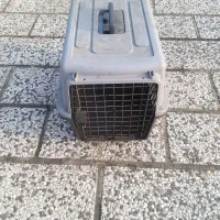 باکس حمل سگ|لوازم جانبی حیوانات|رشت, حاجی آباد|دیوار