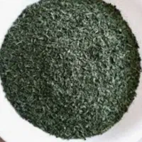 نعنا بومی امسالی