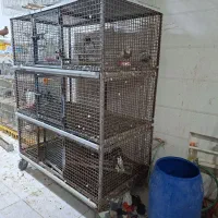 قفس سه طبقه