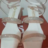 کیف و کفش مجلسی نویه نو با جعبه|کیف، کفش، کمربند|رشت, هلال احمر|دیوار