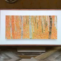 تلوزیون 55 OLED LG|تلویزیون و پروژکتور|اصفهان, مسجد مصلی|دیوار