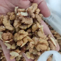 مغز گردوی سفید|خوردنی و آشامیدنی|پاوه, |دیوار