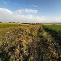 زمین برای کشاورزی احداث باغ،گلخانه|فروش زمین و ملک کلنگی|زنجان, |دیوار