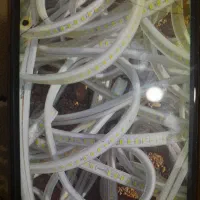 سیم الیدی برای باغ و ویلا 50 متری|لامپ و چراغ|محمدشهر, ولدآباد|دیوار