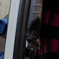 فروش یکدستگاه 207تیوفایو سقف فلز قابل معاوضه|خودرو سواری و وانت|اهواز, شهرک نفت|دیوار