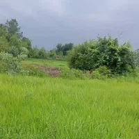 زمین فروشی یک قطعه روستا
