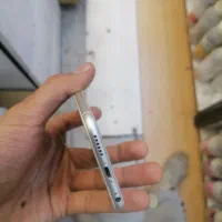 آیفون 6|موبایل|مشهد, فرودگاه|دیوار