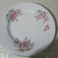 ۶تا پیش دستی گل عروس