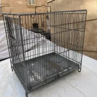 قفس